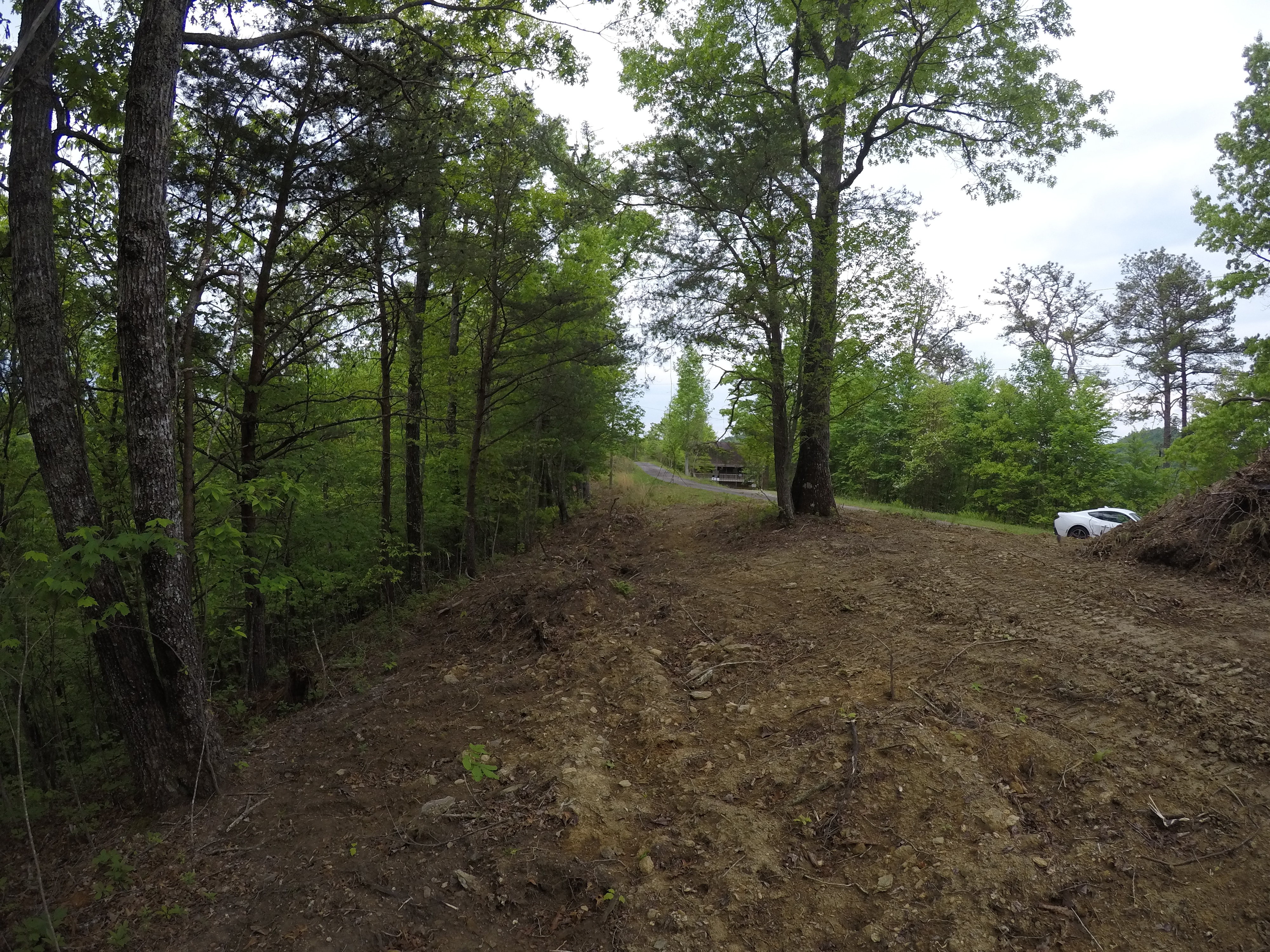 land-clearing