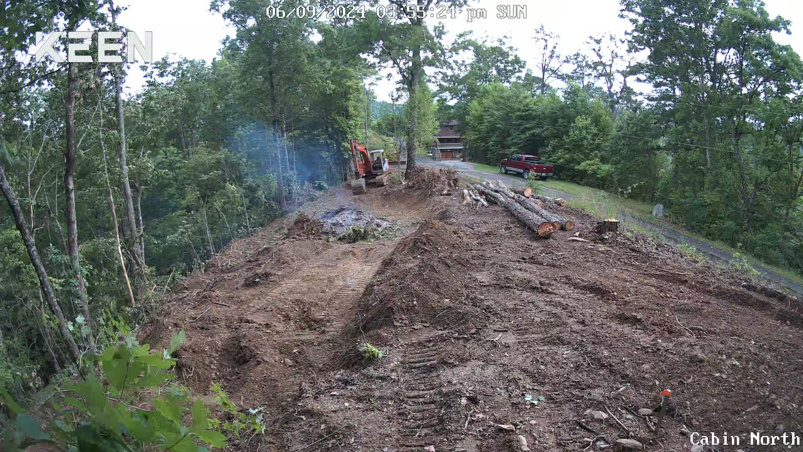 land-clearing