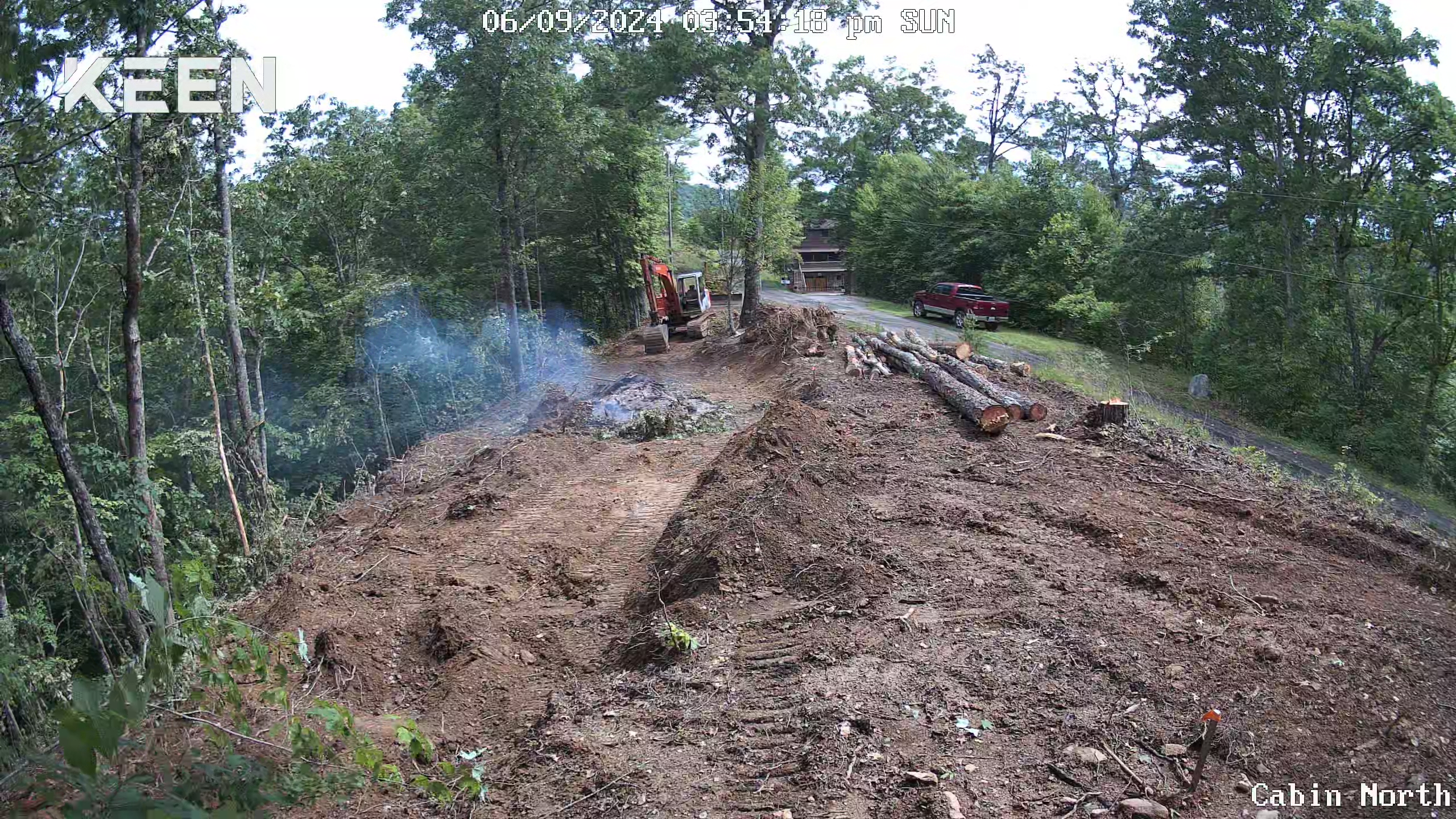 land-clearing