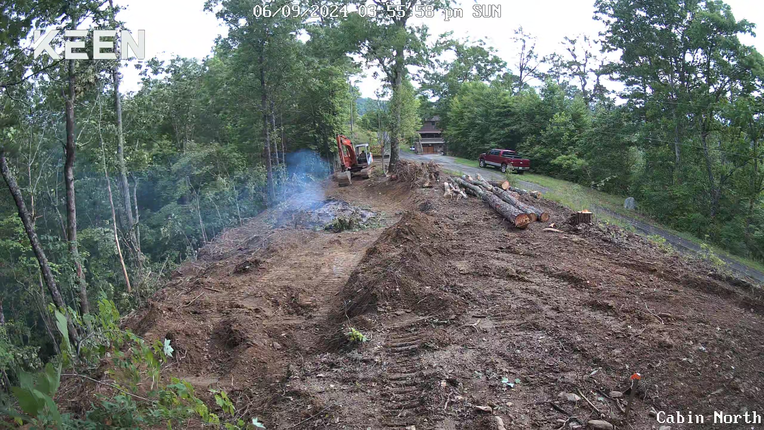 land-clearing
