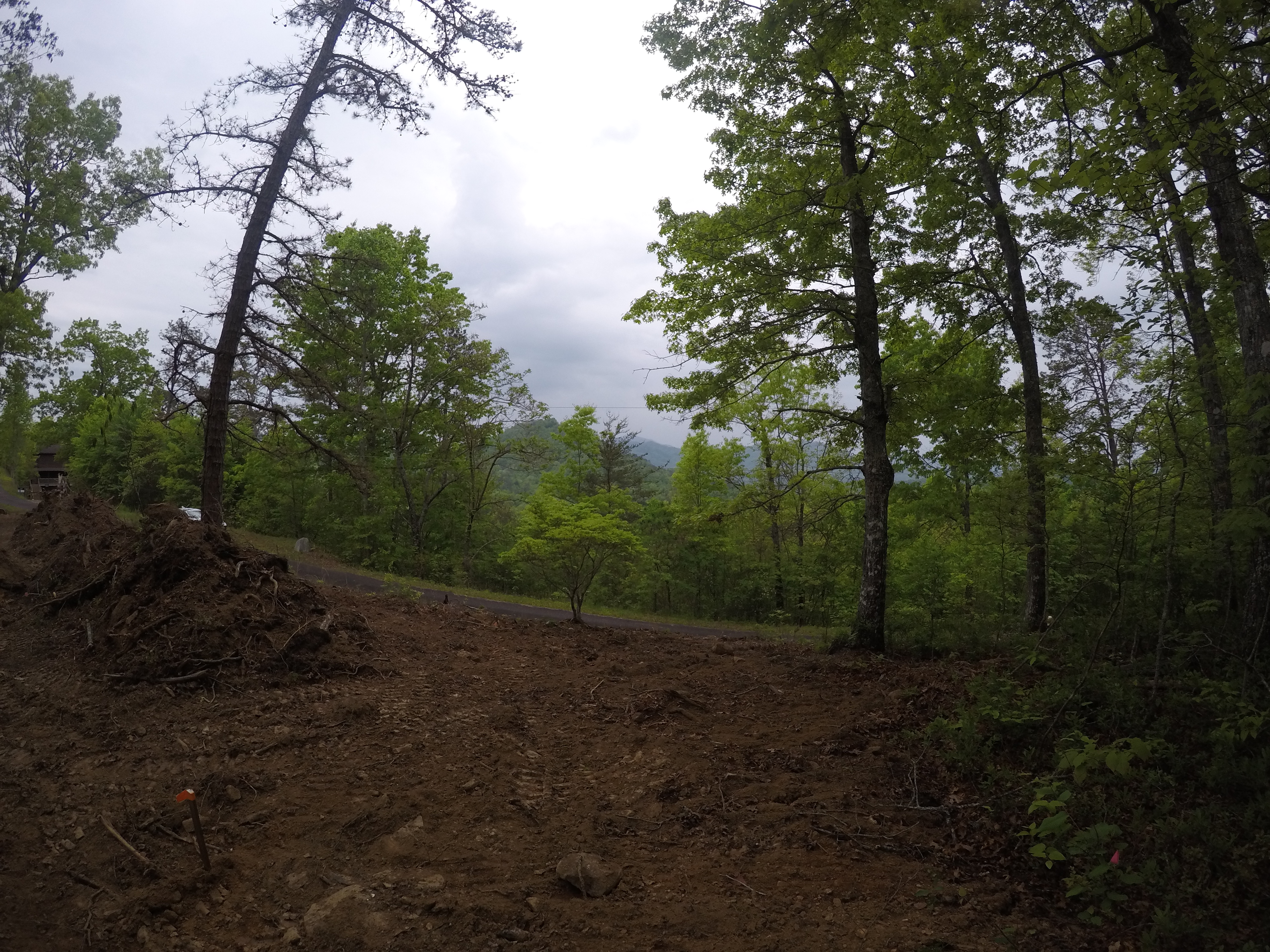 land-clearing