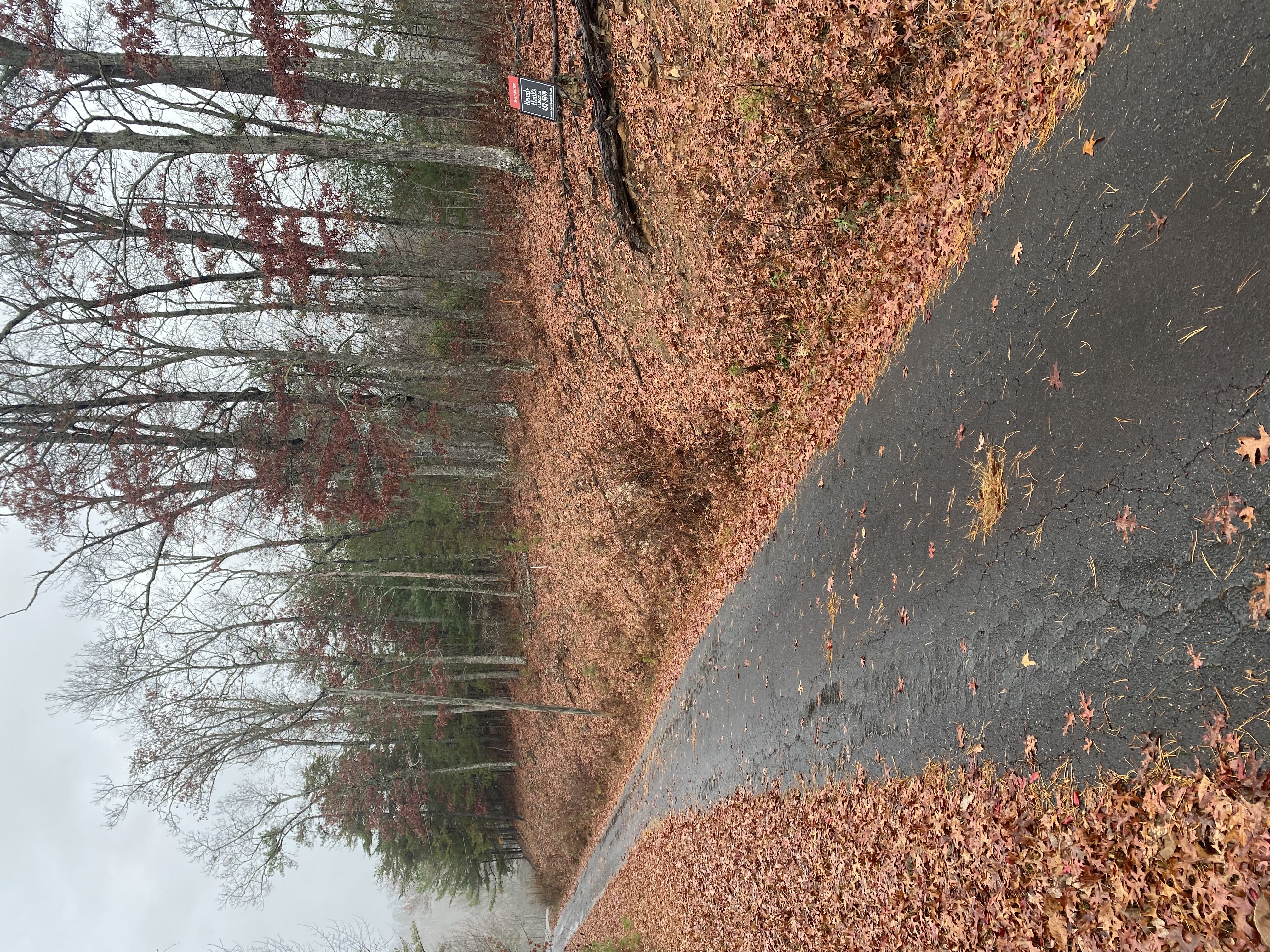 land-clearing