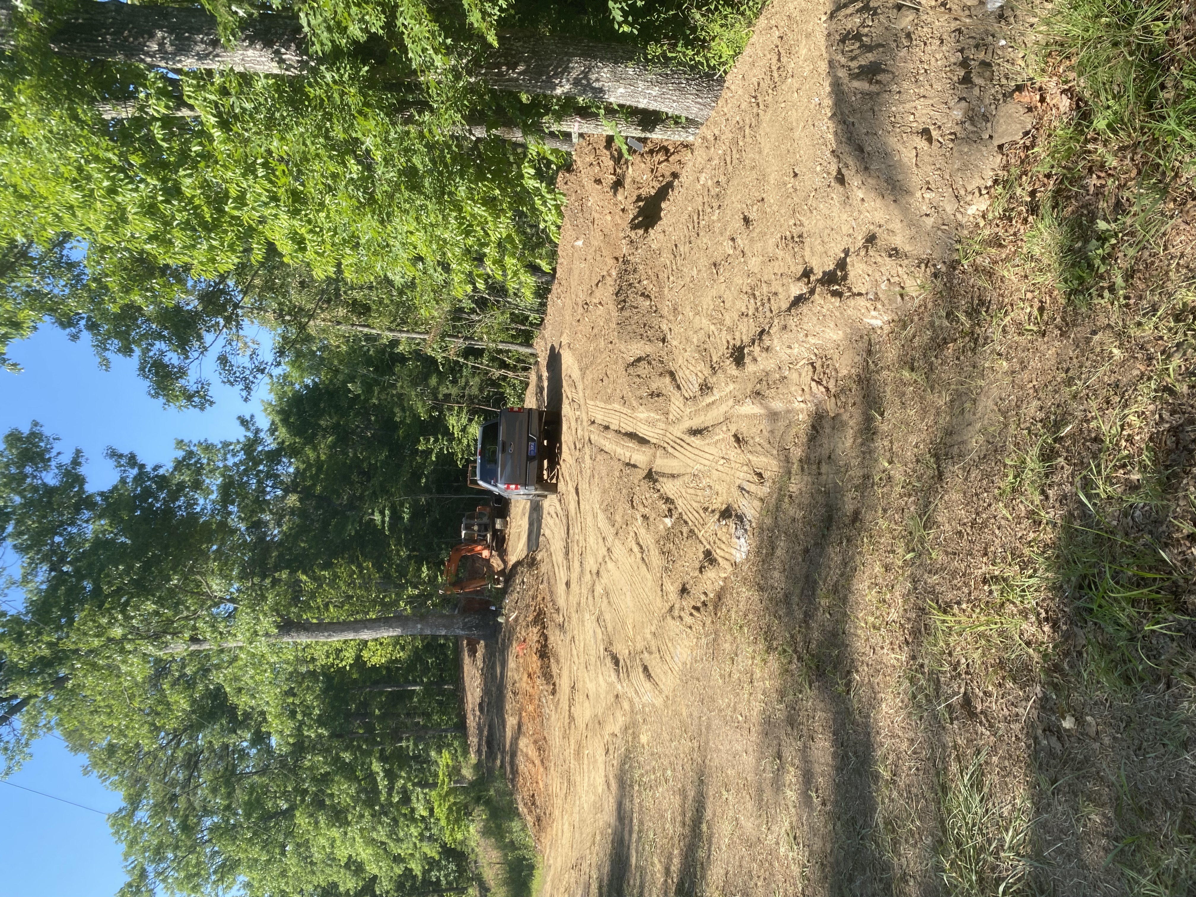 land-clearing