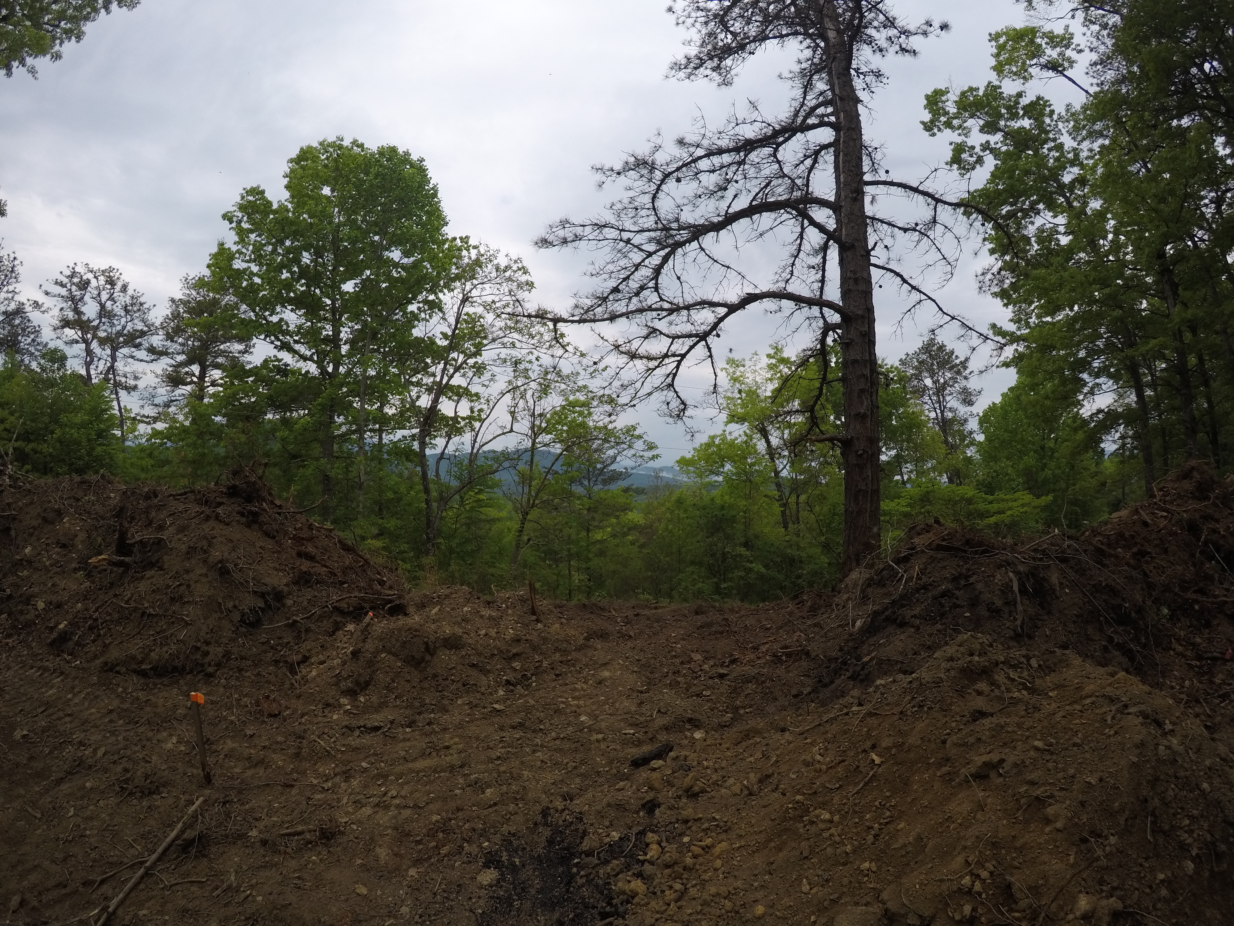 land-clearing