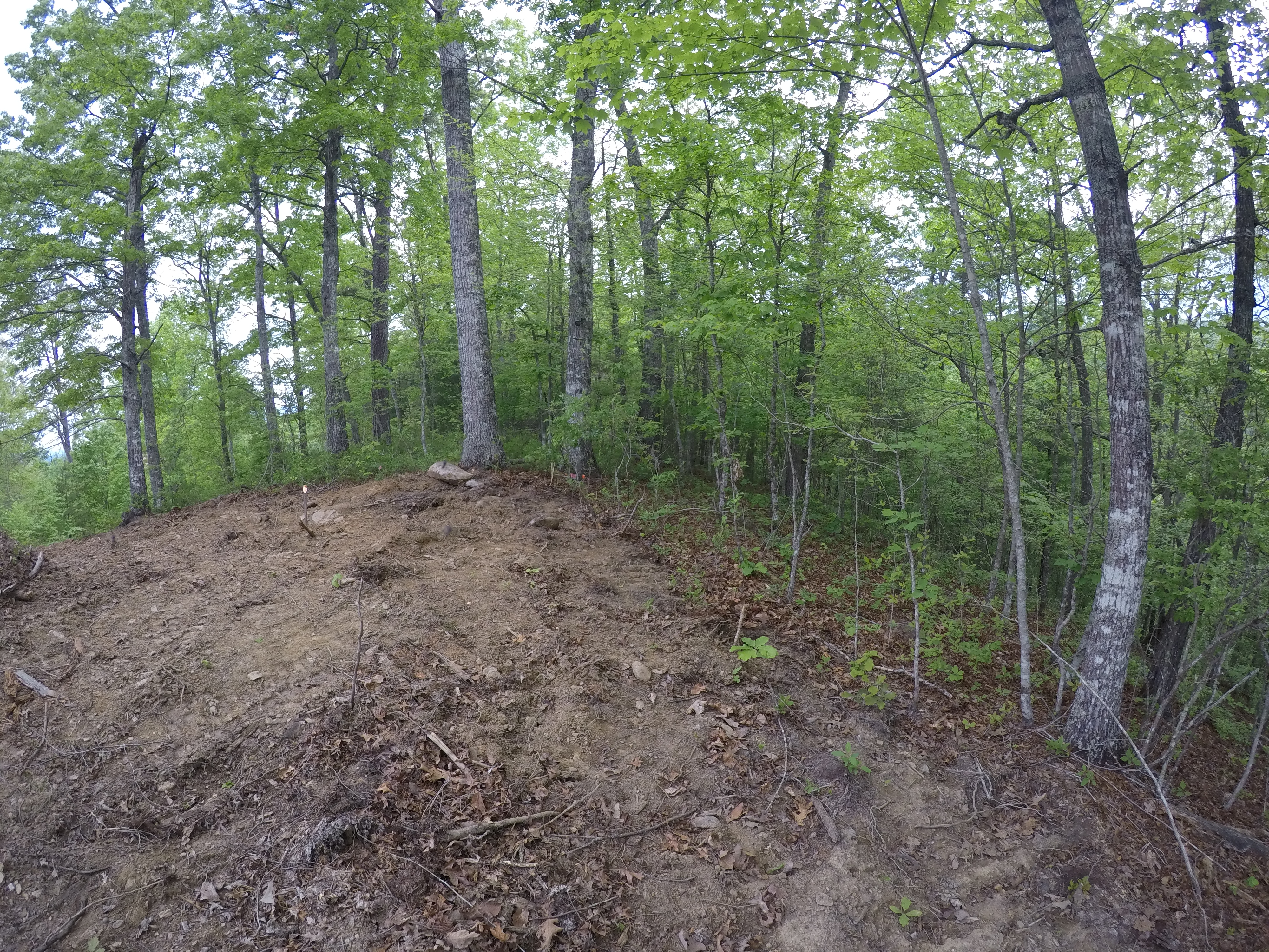 land-clearing
