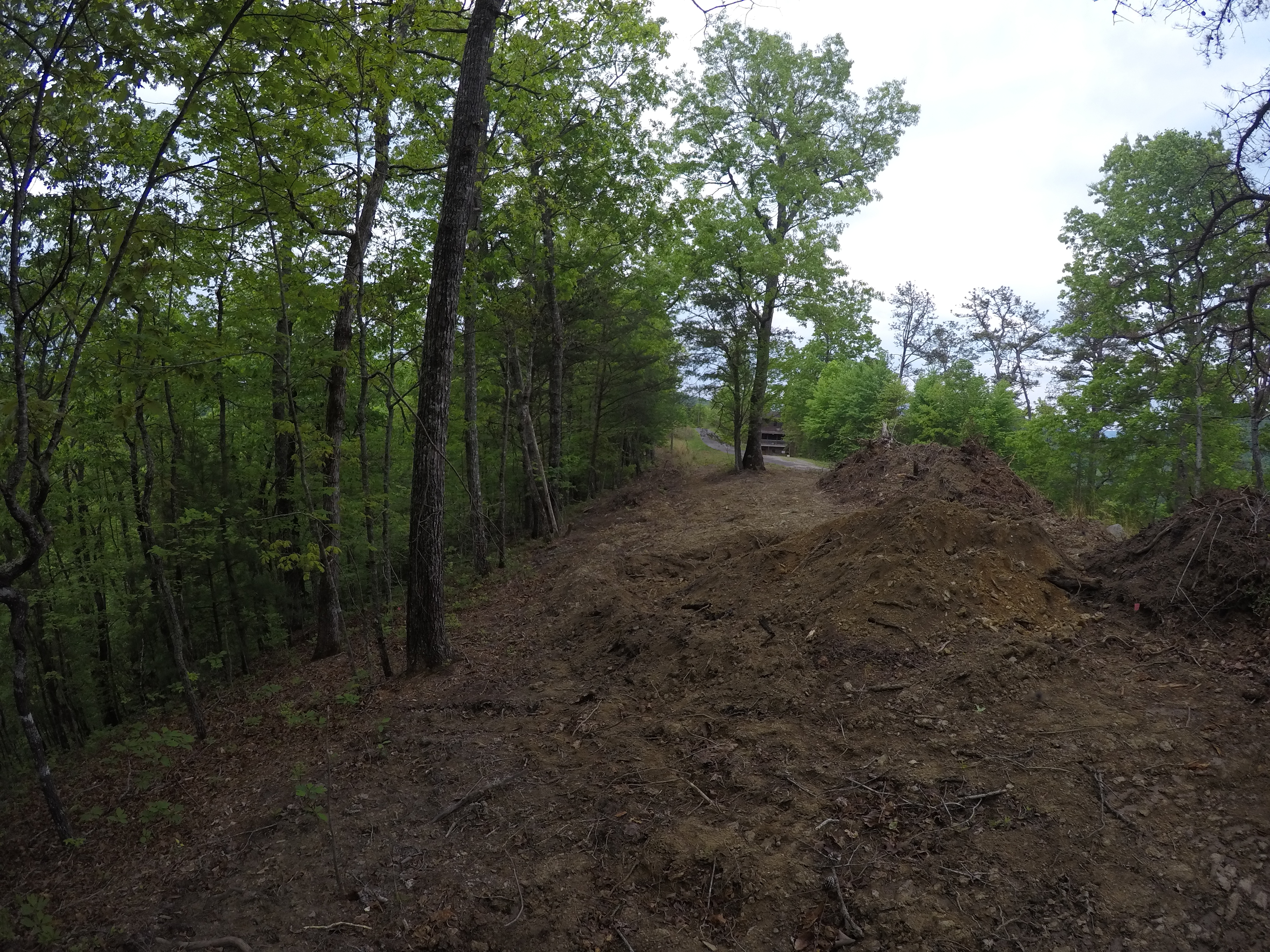 land-clearing