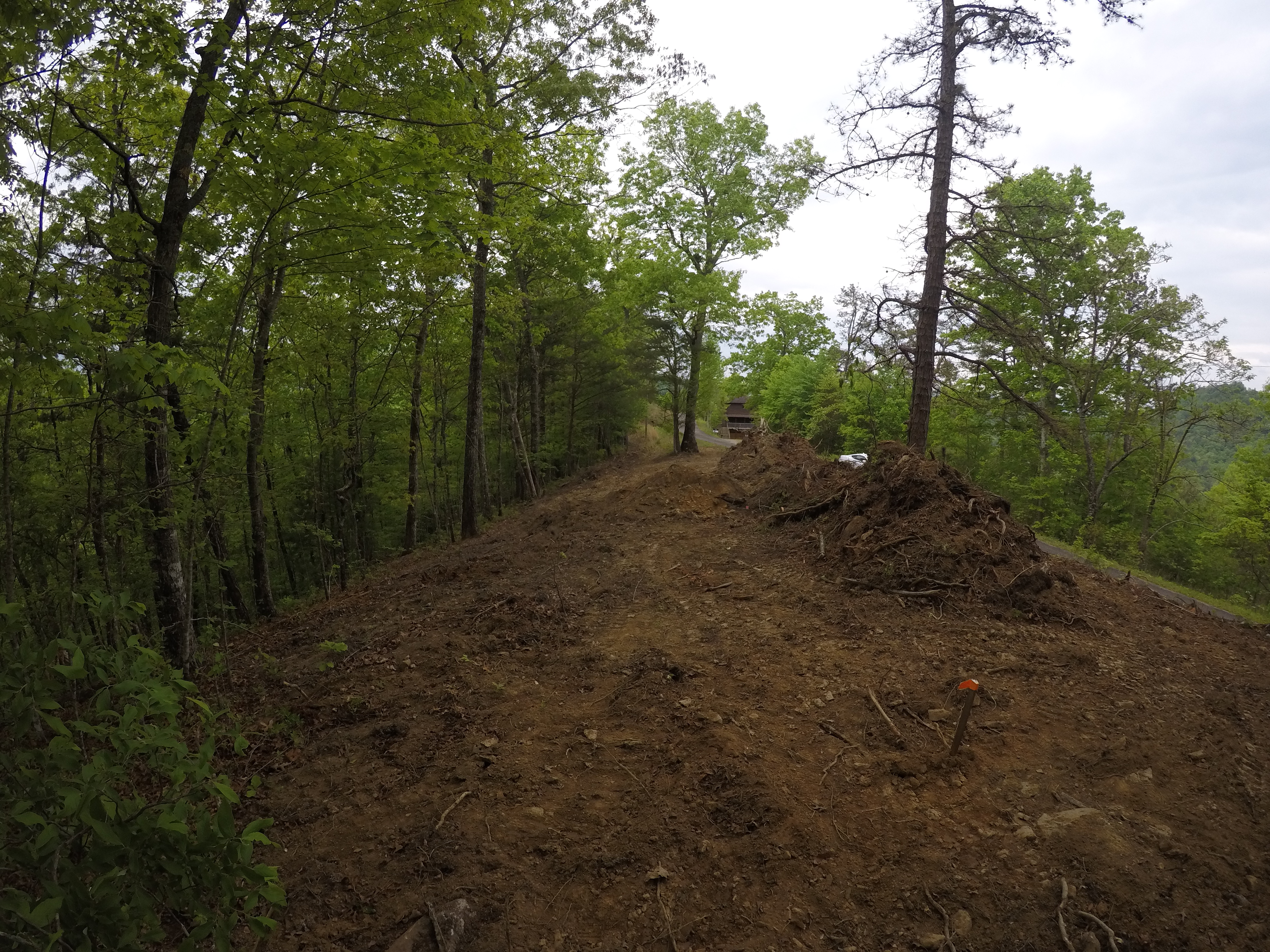 land-clearing