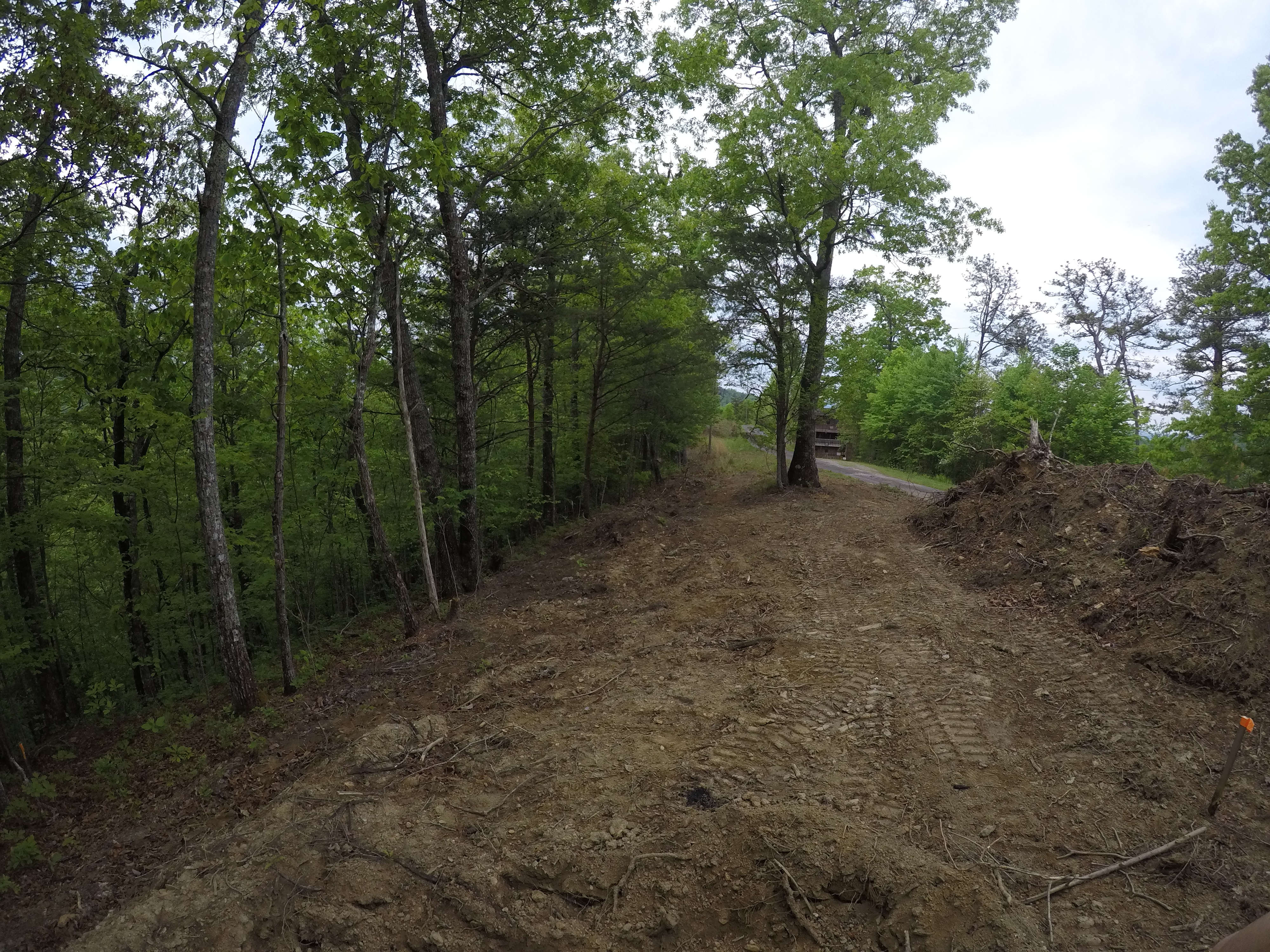land-clearing