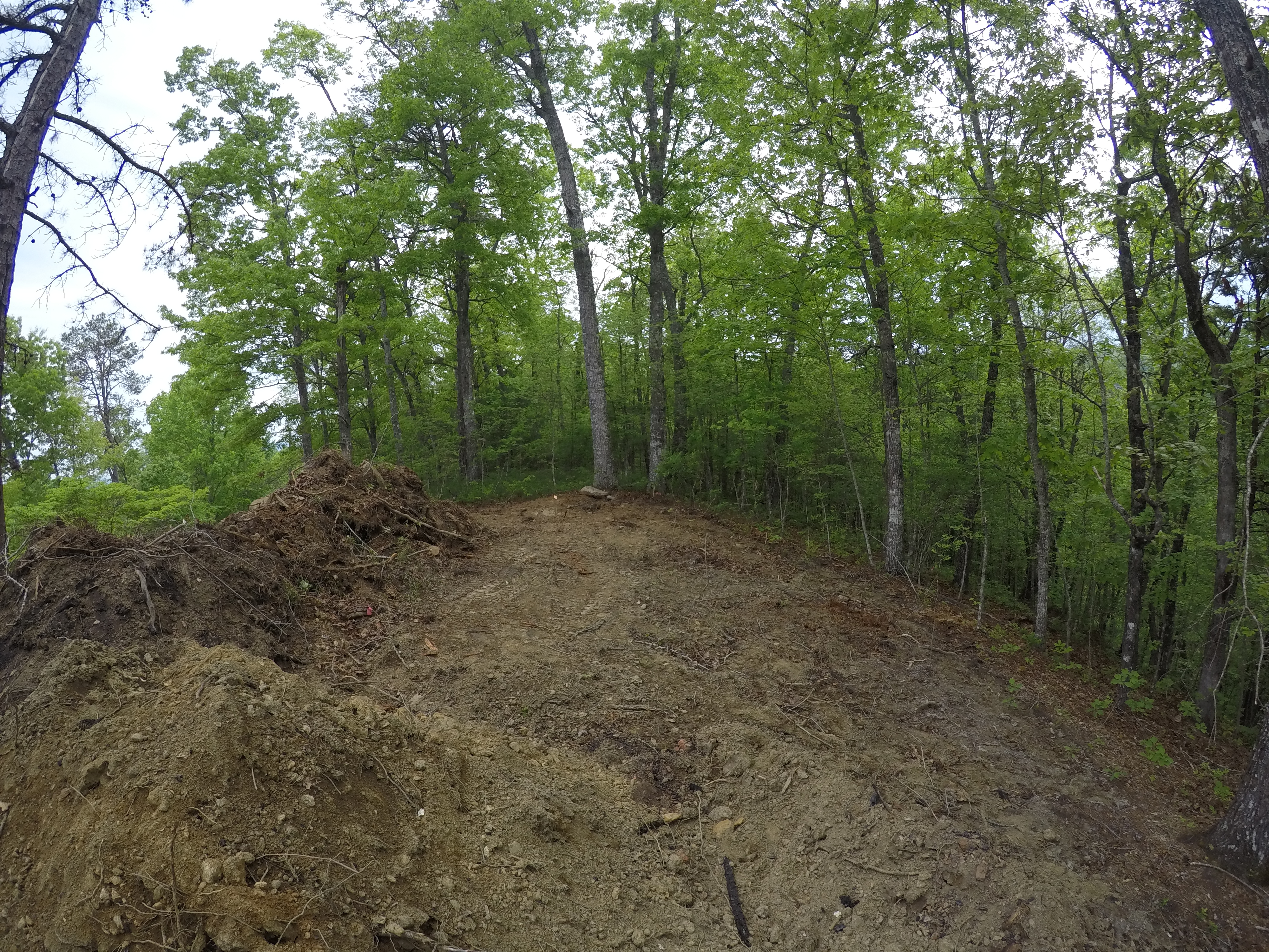 land-clearing