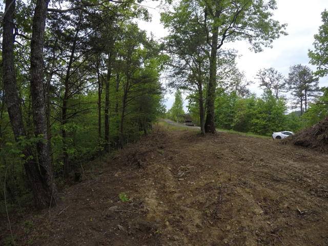 Land Clearing photo from the Ridgetop Refuge cabin build, April 27, 2024