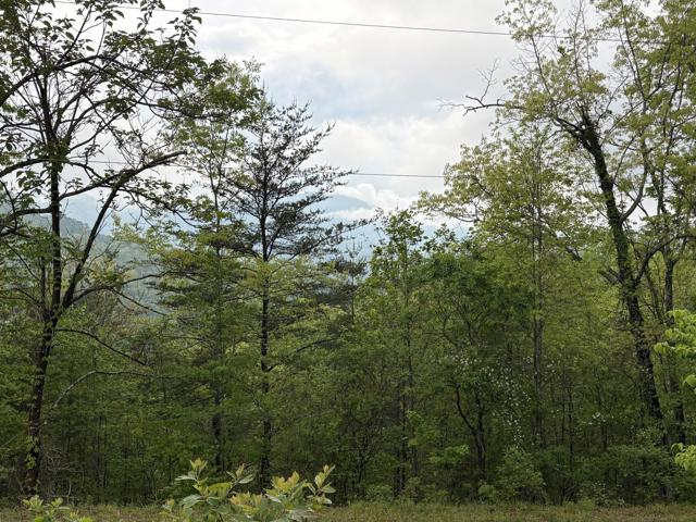 General photo from the Ridgetop Refuge cabin build, April 25, 2026