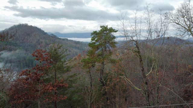 General photo from the Ridgetop Refuge cabin build, May 19, 2026