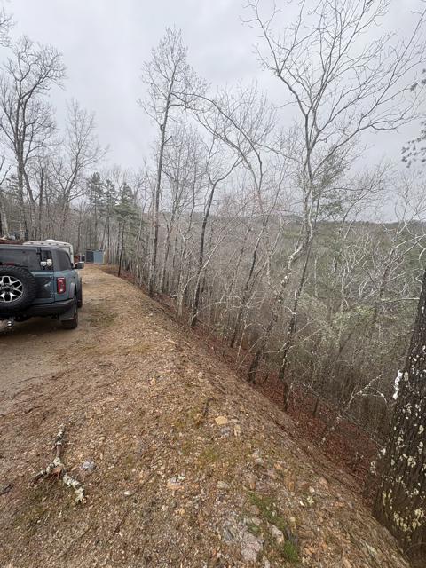 General photo from the Ridgetop Refuge cabin build, March 16, 2026