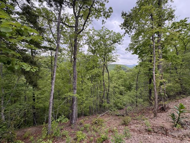General photo from the Ridgetop Refuge cabin build, April 25, 2026