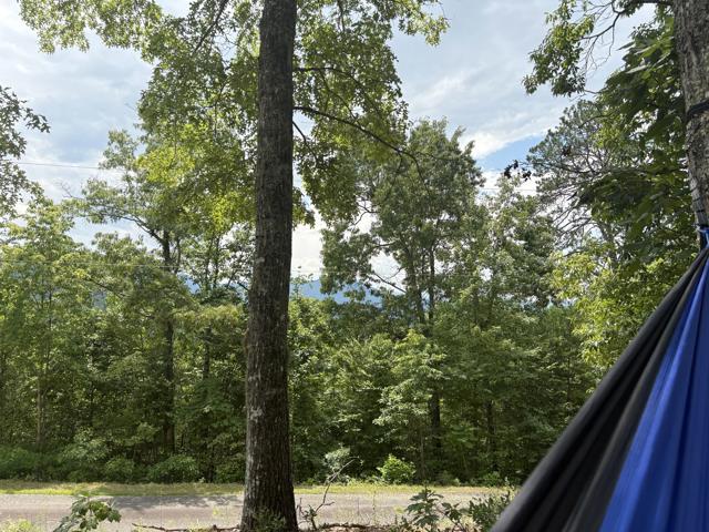 Site Work photo from the Ridgetop Refuge cabin build, July 8, 2025