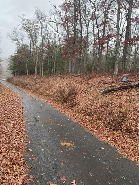 Land Clearing photo from the Ridgetop Refuge cabin build, November 11, 2022