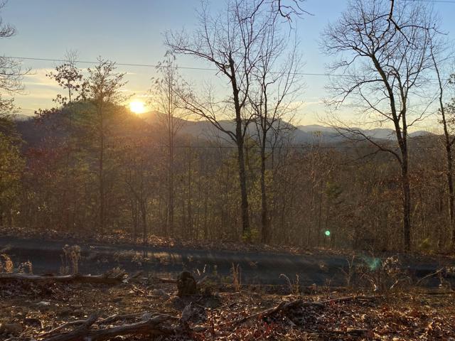 Land Clearing photo from the Ridgetop Refuge cabin build, December 22, 2023