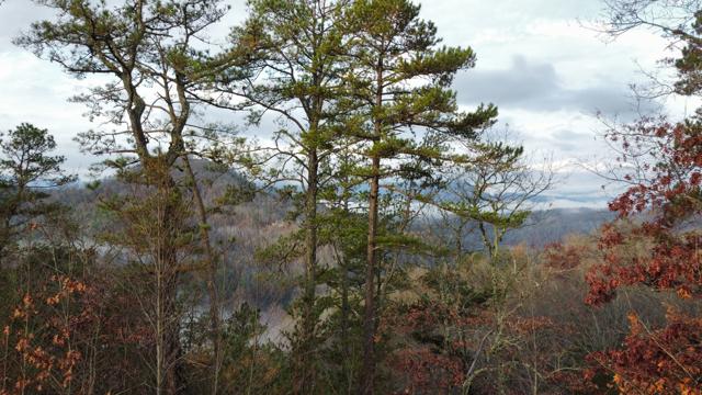 General photo from the Ridgetop Refuge cabin build, May 19, 2026