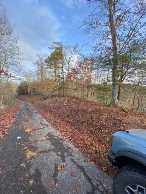 Land Clearing photo from the Ridgetop Refuge cabin build, November 12, 2022