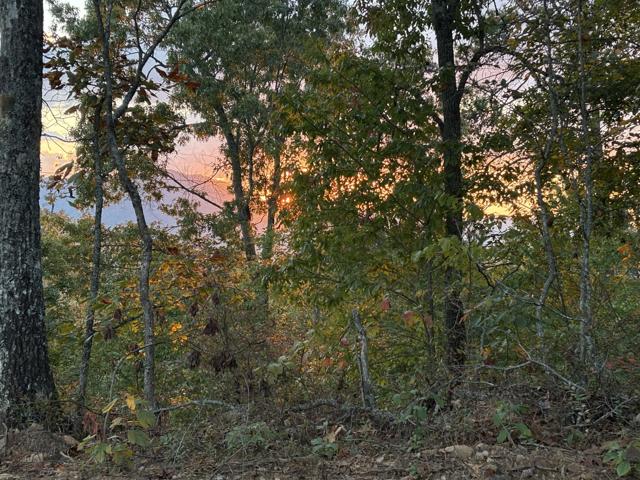 Site Work photo from the Ridgetop Refuge cabin build, October 2, 2025