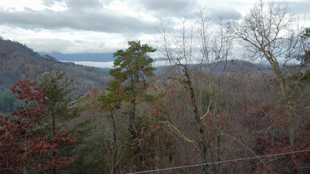 General photo from the Ridgetop Refuge cabin build, May 19, 2026