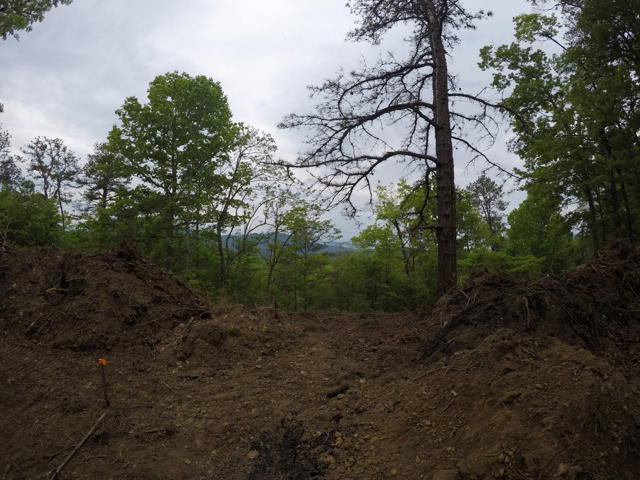 Land Clearing photo from the Ridgetop Refuge cabin build, April 27, 2024