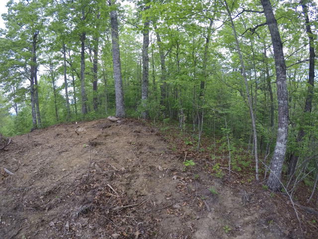 Land Clearing photo from the Ridgetop Refuge cabin build, April 27, 2024