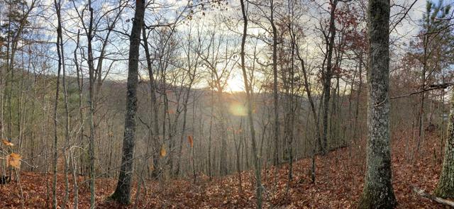 Land Clearing photo from the Ridgetop Refuge cabin build, November 12, 2022