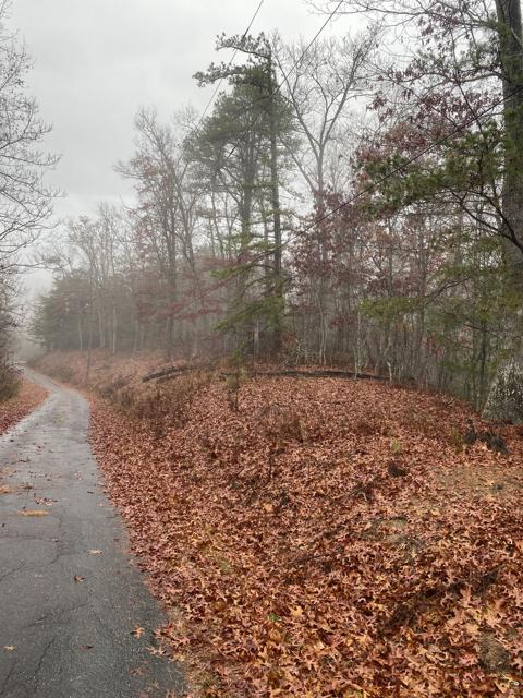 Land Clearing photo from the Ridgetop Refuge cabin build, November 11, 2022