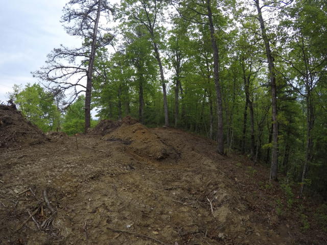 Land Clearing photo from the Ridgetop Refuge cabin build, April 27, 2024