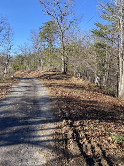 Land Clearing photo from the Ridgetop Refuge cabin build, March 15, 2023