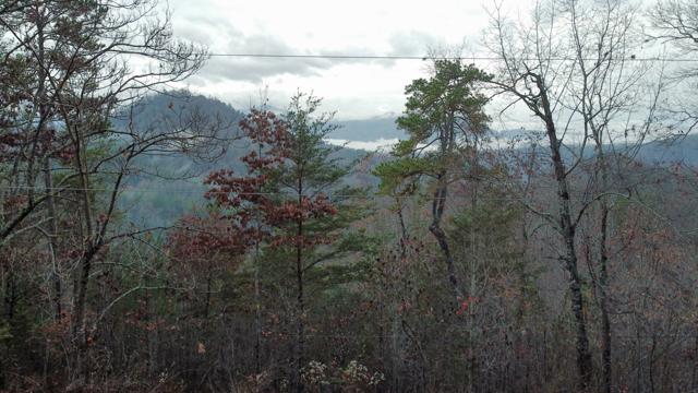 General photo from the Ridgetop Refuge cabin build, May 19, 2026