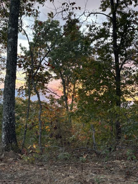 Site Work photo from the Ridgetop Refuge cabin build, October 2, 2025