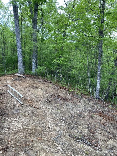 Land Clearing photo from the Ridgetop Refuge cabin build, May 3, 2024