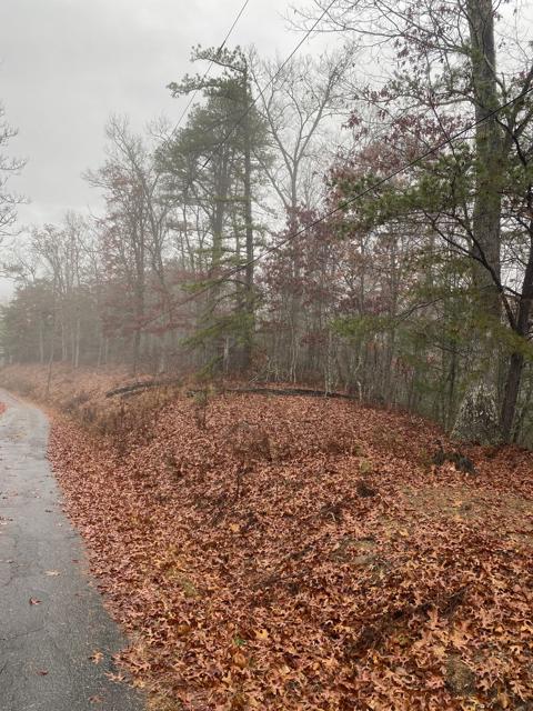 Land Clearing photo from the Ridgetop Refuge cabin build, November 11, 2022