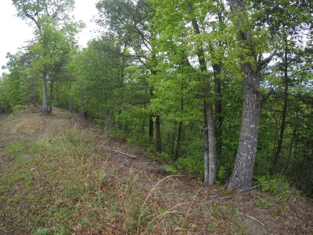 Land Clearing photo from the Ridgetop Refuge cabin build, April 27, 2024