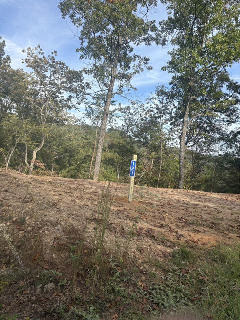 Site Work photo from the Ridgetop Refuge cabin build, October 3, 2025