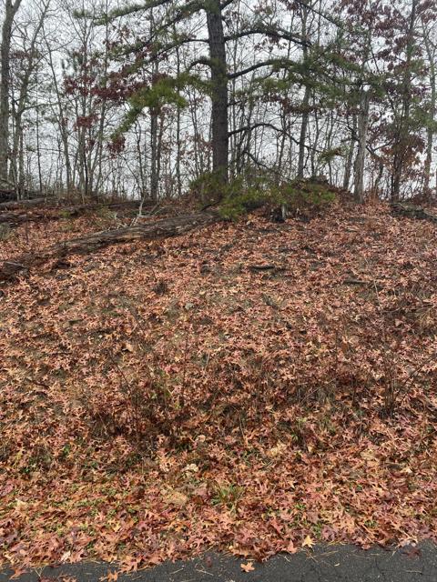 Land Clearing photo from the Ridgetop Refuge cabin build, November 11, 2022