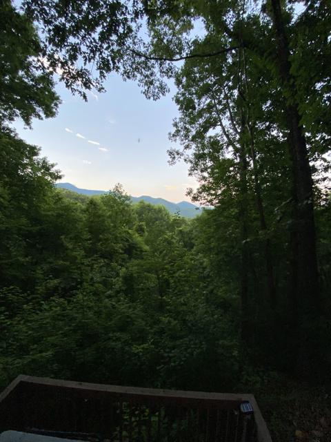 Land Clearing photo from the Ridgetop Refuge cabin build, June 14, 2024