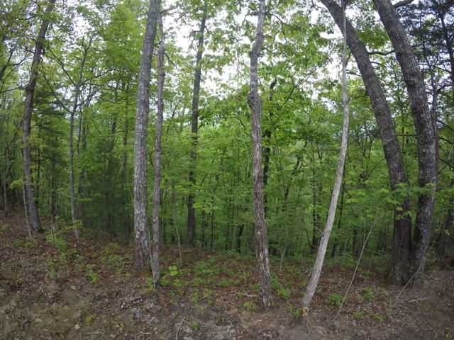Land Clearing photo from the Ridgetop Refuge cabin build, April 27, 2024