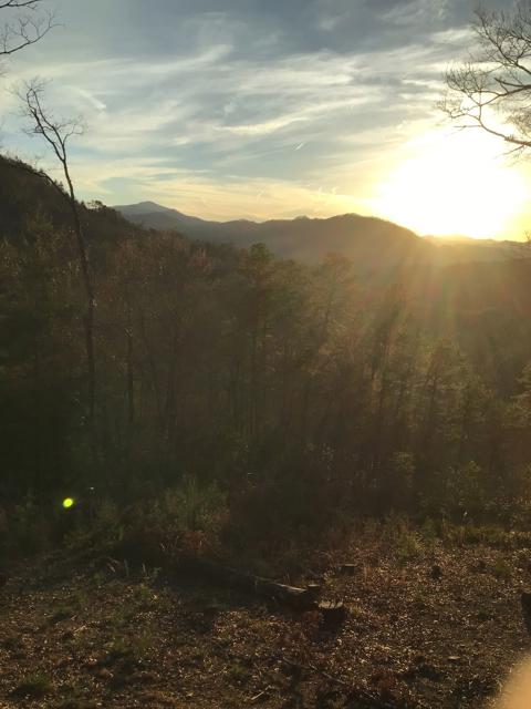 Site Work photo from the Ridgetop Refuge cabin build, March 18, 2025