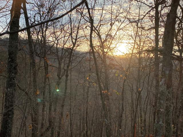 Land Clearing photo from the Ridgetop Refuge cabin build, November 12, 2022