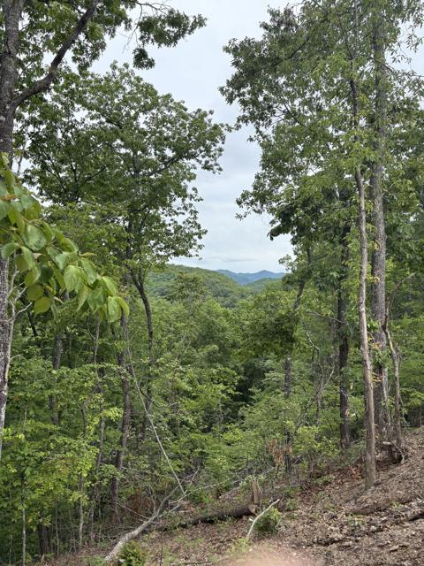Site Work photo from the Ridgetop Refuge cabin build, May 24, 2025