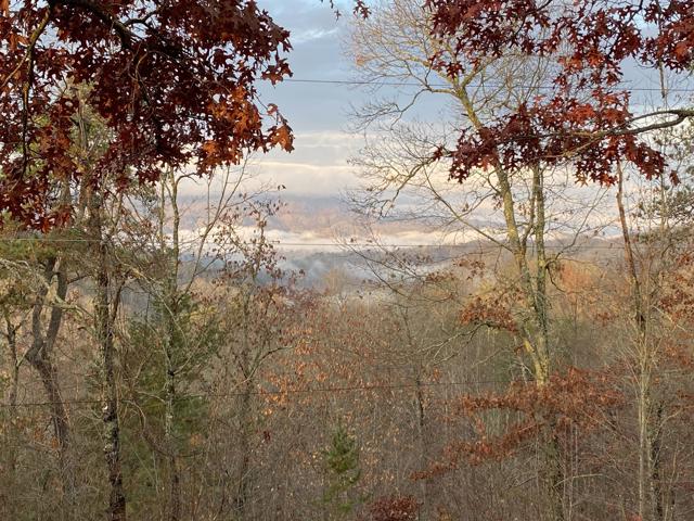 Land Clearing photo from the Ridgetop Refuge cabin build, November 12, 2022