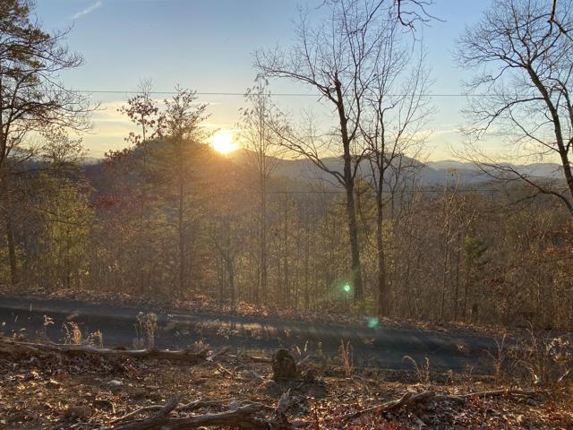 Land Clearing photo from the Ridgetop Refuge cabin build, December 22, 2023