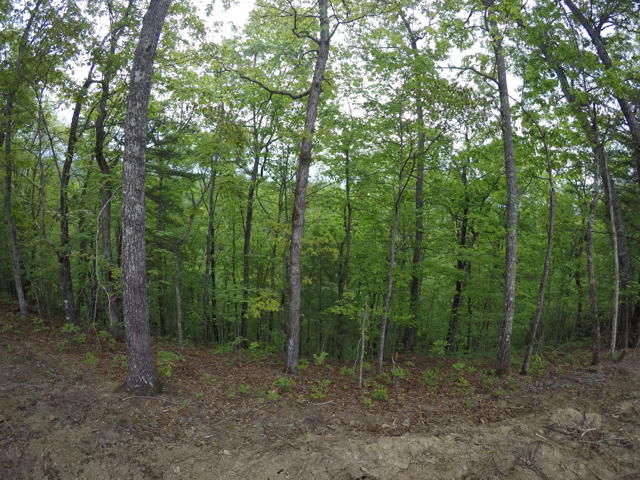 Land Clearing photo from the Ridgetop Refuge cabin build, April 27, 2024