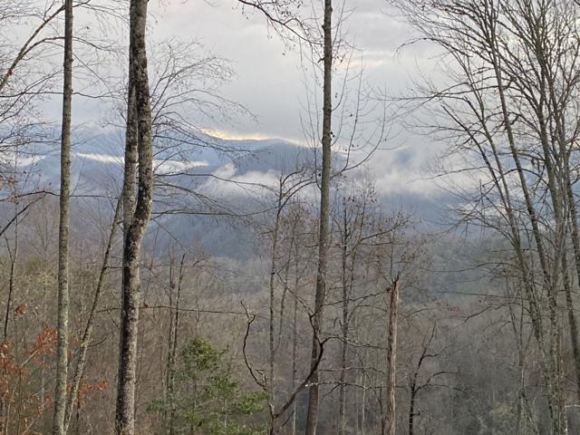 Land Clearing photo from the Ridgetop Refuge cabin build, November 12, 2022