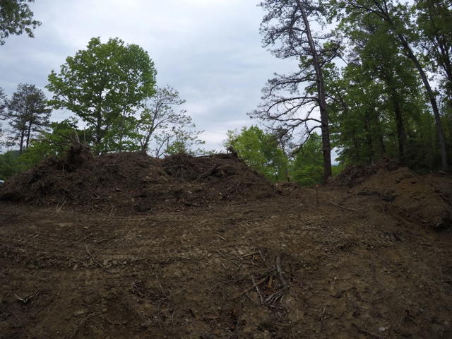 Land Clearing photo from the Ridgetop Refuge cabin build, April 27, 2024