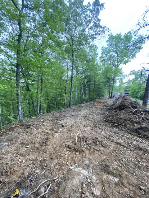 Land Clearing photo from the Ridgetop Refuge cabin build, May 3, 2024