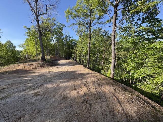 General photo from the Ridgetop Refuge cabin build, April 27, 2026